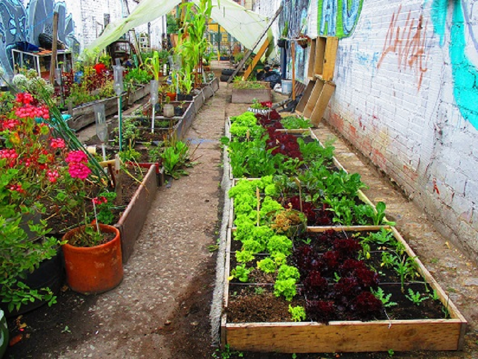 Huerta para apartamento