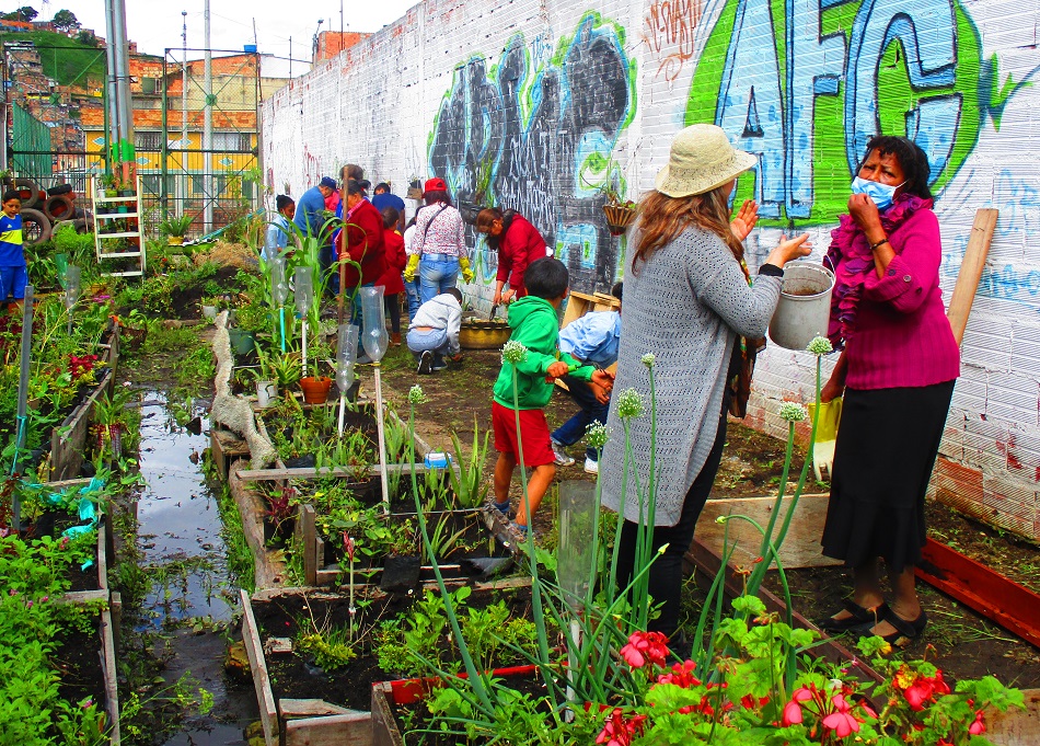 Huerta_pequeña_para_apartamento