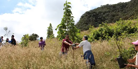 Trabajo_ equipo_sostenibilidad_Restauración_ecológica