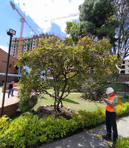 Georefenciación_GPS_RTK_Inventario_forestal