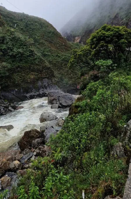 Plan_de_compensación_por_pérdida_de_biodiversidad