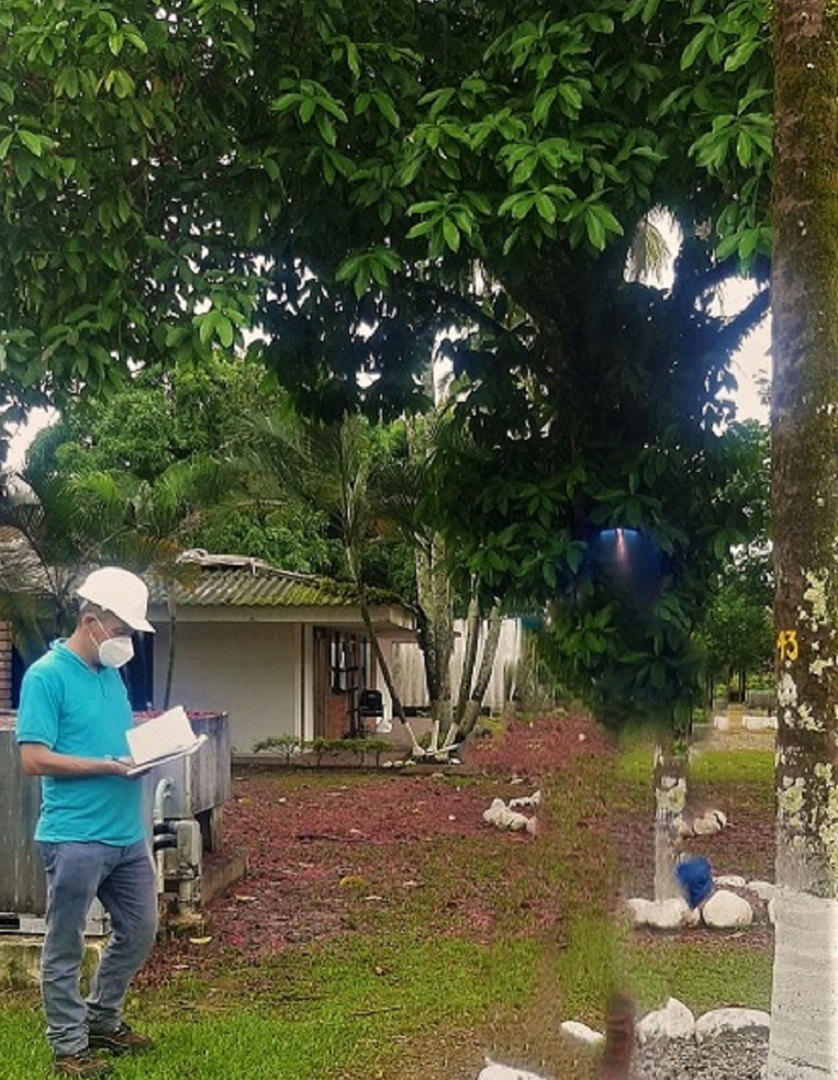 Inventario_forestal_parques_solares_aprovechamietno