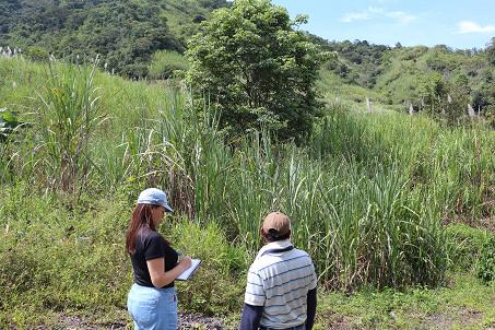 Cero_deforestación_Unión_europea_café_cacao
